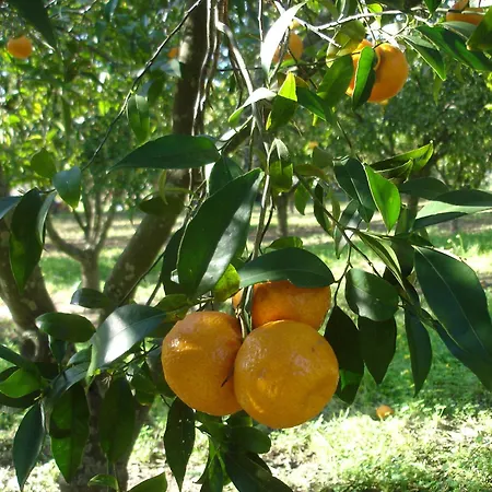 Sul Mare Capo Vaticano