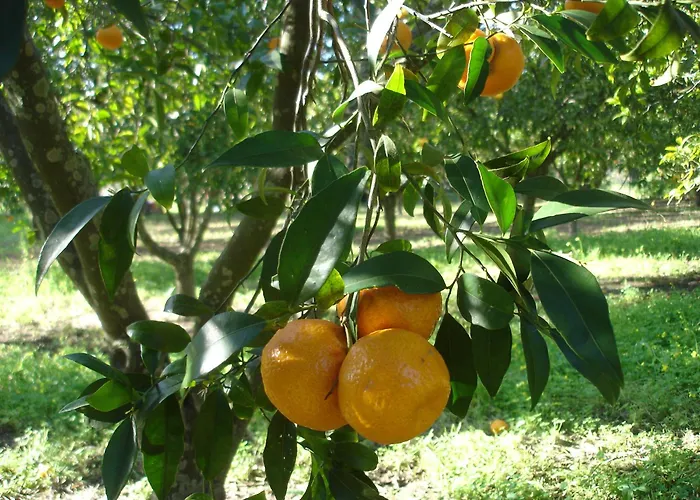 Sul Mare Capo Vaticano