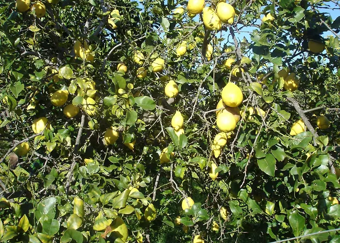 Sul Mare Capo Vaticano